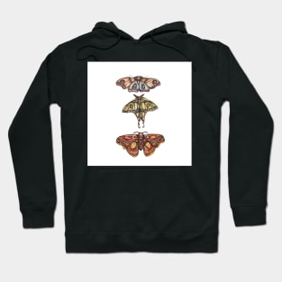 Moth Collection Hoodie